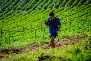 BIB: 
                            <button type="button" onclick="openModal(19162266)" class="btn btn-primary btn-sm float-right btn-popup" data-toggle="modal" data-target=".modal-high-quality">
                        <i class="fas fa-shopping-cart"></i> Add to Cart
                    </button>
                                            <button type="button" onclick="isThisMe(19162266, true)" class="btn btn-success btn-sm float-right btn-popup btn-isme hidden" data-toggle="tooltip" data-placement="bottom" title="นี่คือรูปของคุณใช่ไหม คลิกที่นี่เพื่อเอาเข้าอัลบั้ม">
                        <i class="fas fa-plus"></i> Add to album
                    </button>
                    <button type="button" onclick="isThisMe(19162266, false)" class="btn btn-warning btn-sm float-right btn-popup btn-isnotme hidden">
                        <i class="fas fa-ban"></i> Remove from album
                    </button>